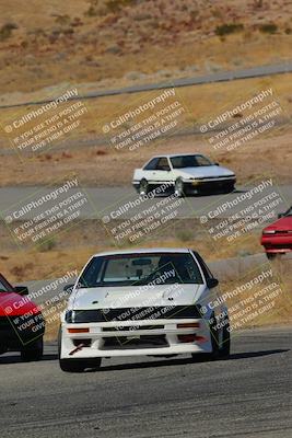 media/Feb-22-2025-Team Topak Racing (Sat) [[cb57a51a40]]/86 Party Brigade/Turns 13 and 14/